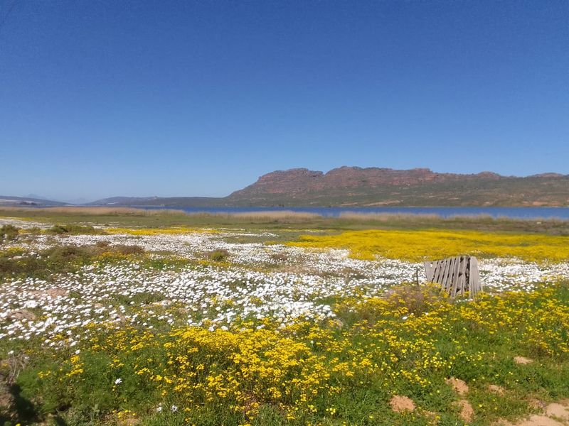 Dreaming of a place with gravel roads, Peace and Tranquility? - Photo 10