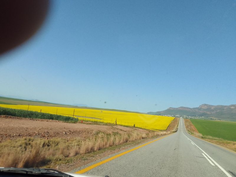 Dreaming of a place with gravel roads, Peace and Tranquility? - Photo 9