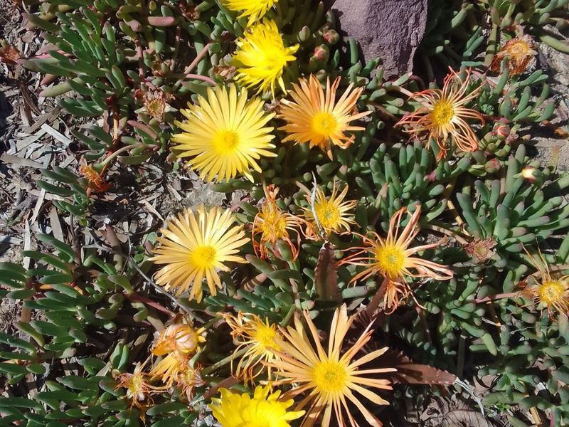 Dreaming of a place with gravel roads, Peace and Tranquility? - Photo 7