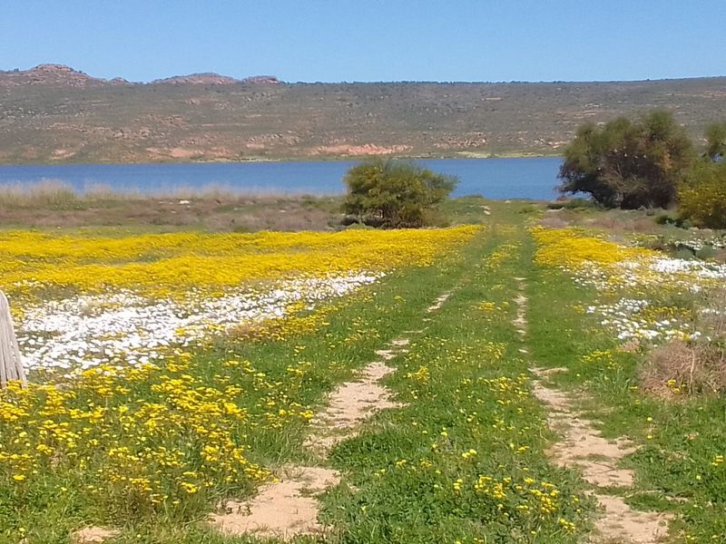 Dreaming of a place with gravel roads, Peace and Tranquility? - Photo 5
