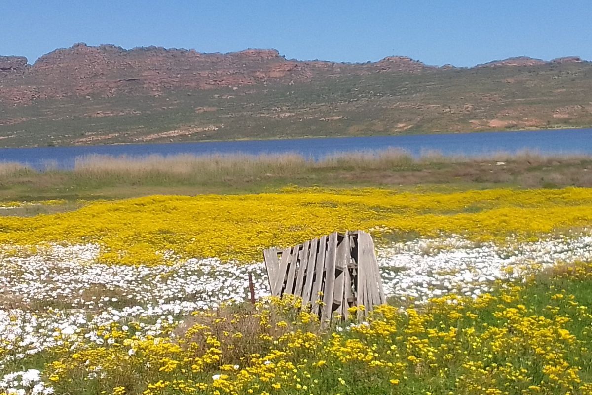 A scenic view of a natural landscape featuring a field of wildflowers, a body of water, and distant mountains.