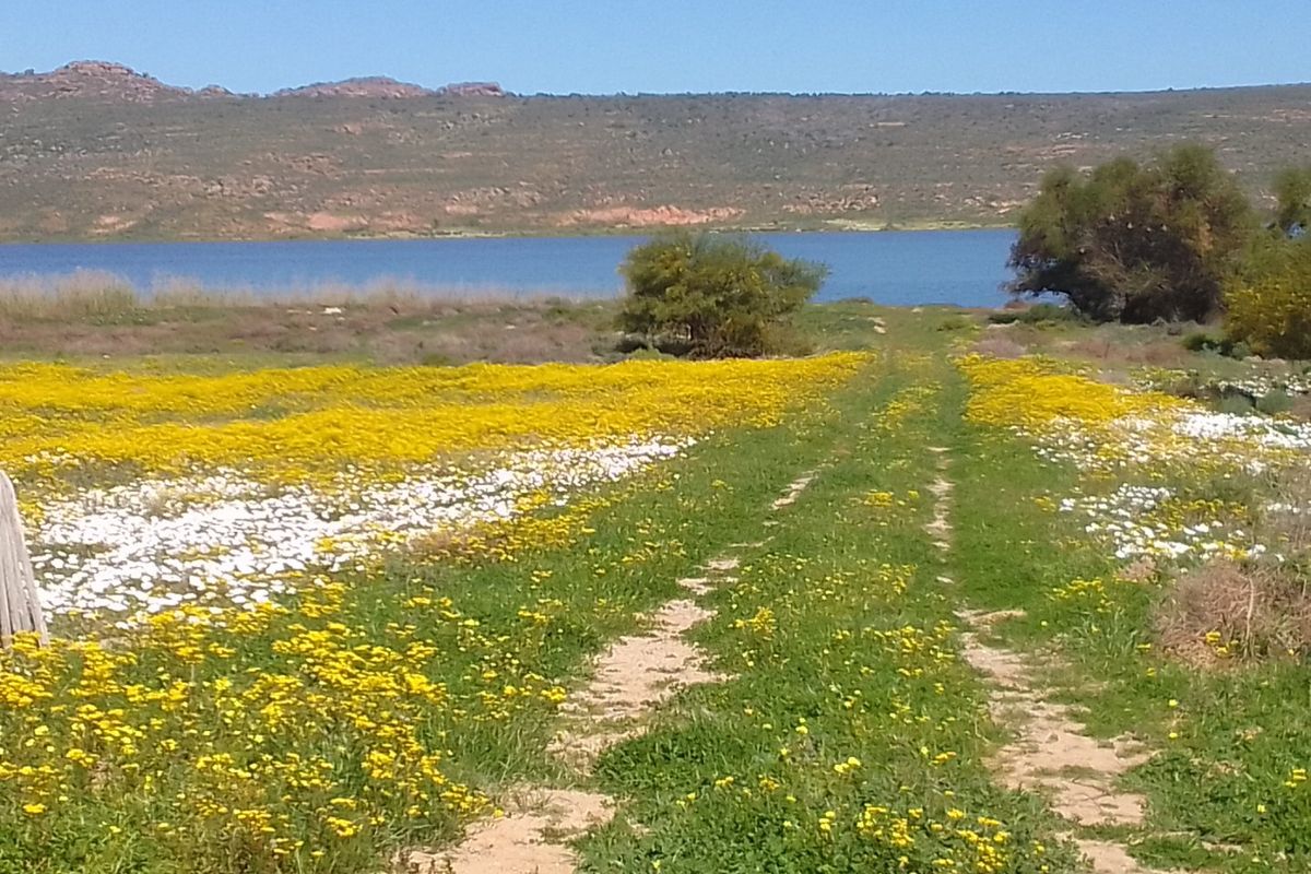 A scenic view of a vacant residential plot featuring a natural wildflower meadow, unpaved access track, and direct frontage to a tranquil lake.