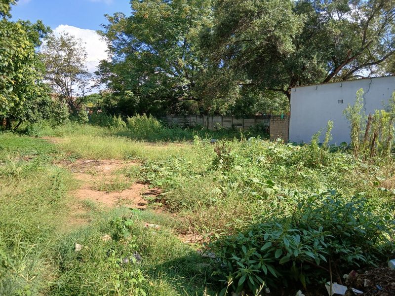 A large, overgrown garden area featuring mature trees and a perimeter wall, offering significant potential for landscaping and outdoor development.