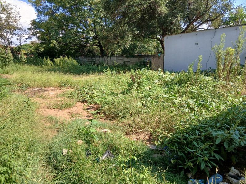 An overgrown garden area featuring a concrete boundary wall and mature trees, requiring significant landscaping and maintenance.