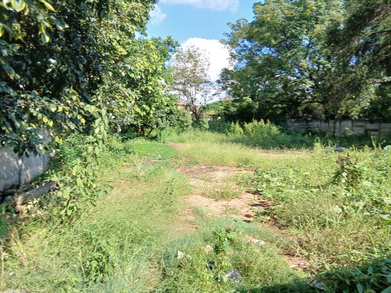 A large, overgrown garden area enclosed by a precast concrete boundary wall, offering significant potential for landscaping and development.