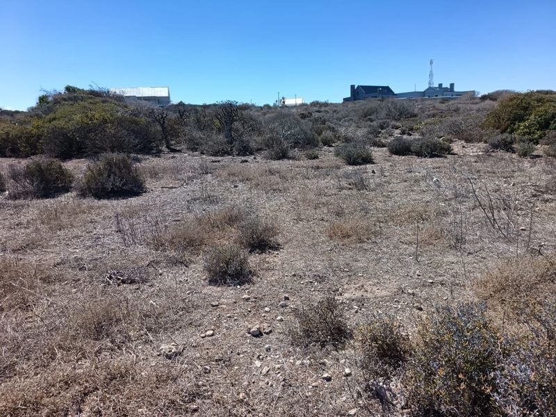 Prime Elevated Stand - Photo 4