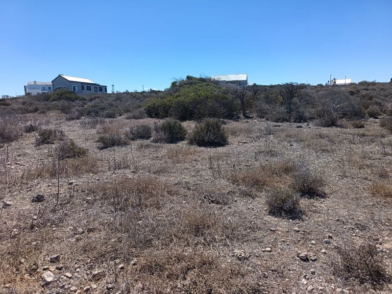 Prime Elevated Stand - Photo 5