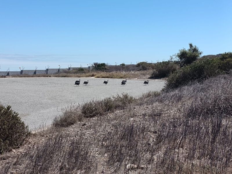 Prime Elevated Stand - Photo 7