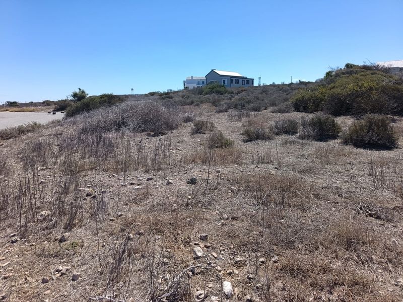 Prime Elevated Stand - Photo 6