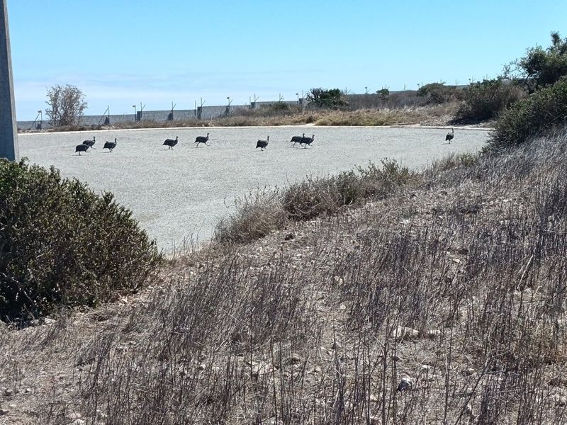 Prime Elevated Stand - Photo 8