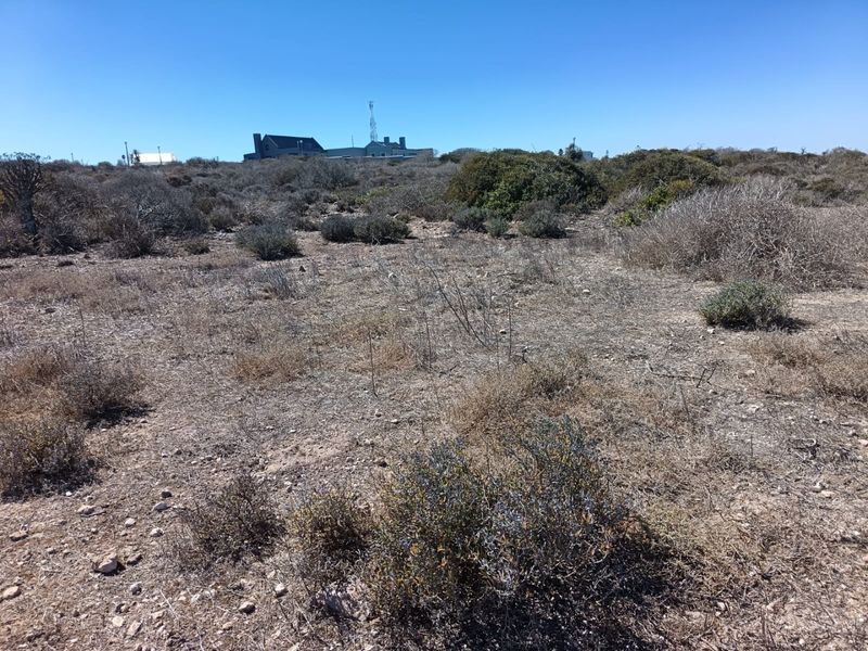 Prime Elevated Stand - Photo 2