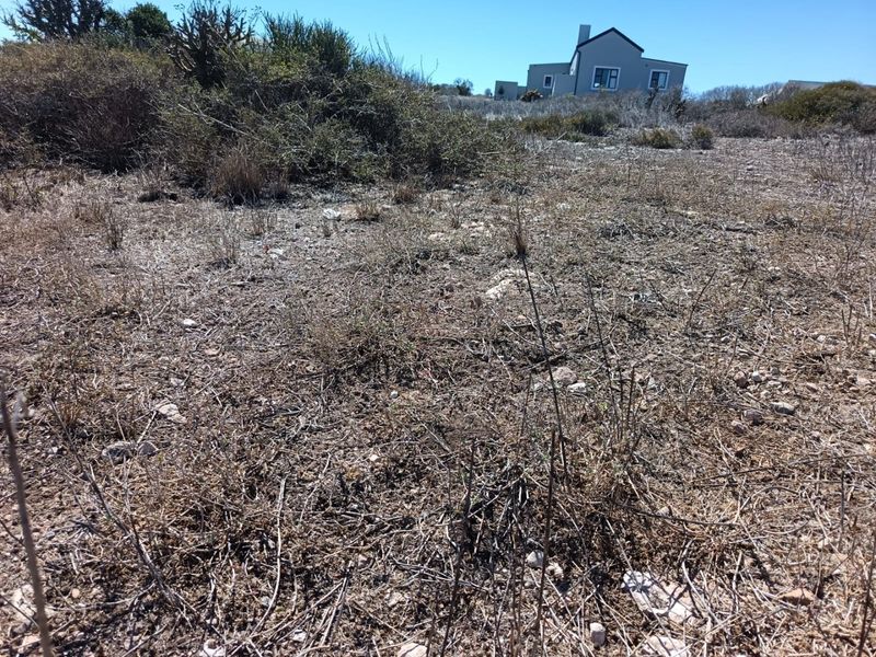 Ocean View Stand - Photo 5