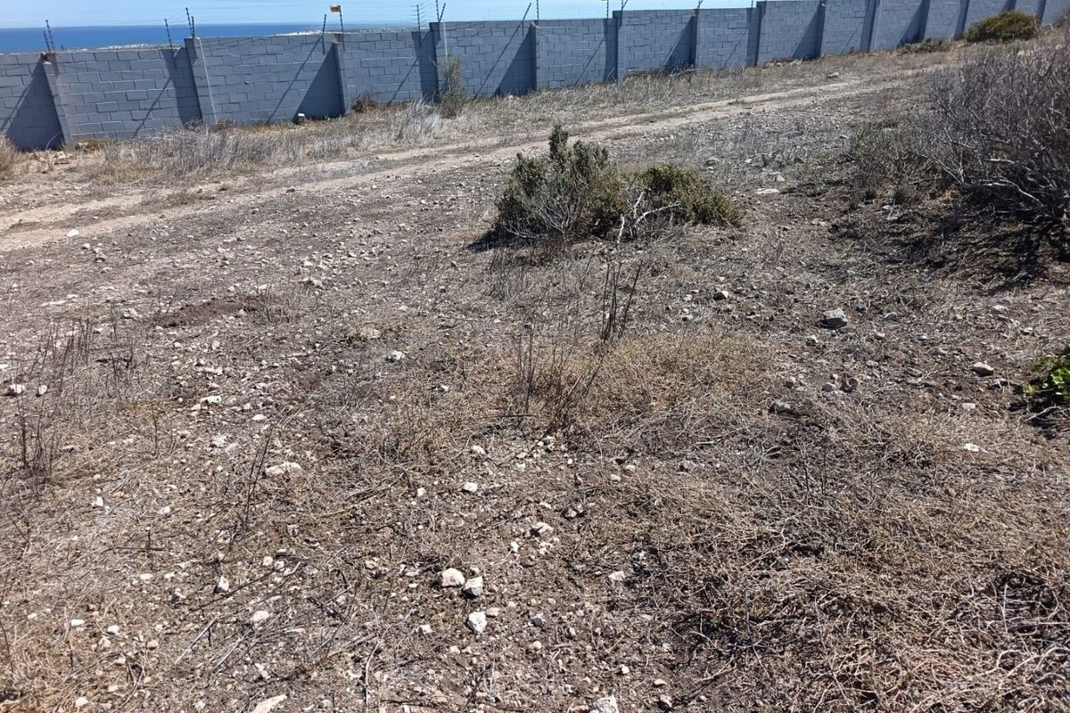 Ocean View Stand - Photo 2