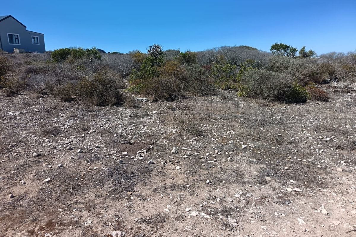 Ocean-Facing Stand - Photo 3