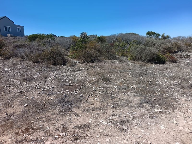 Ocean-Facing Stand - Photo 3