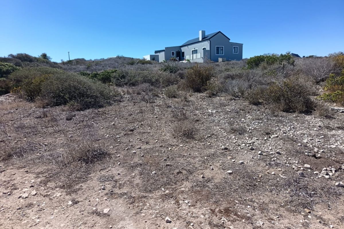 Ocean-Facing Stand - Photo 4