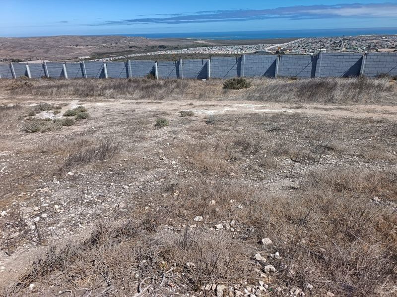 Ocean-Facing Stand - Photo 7