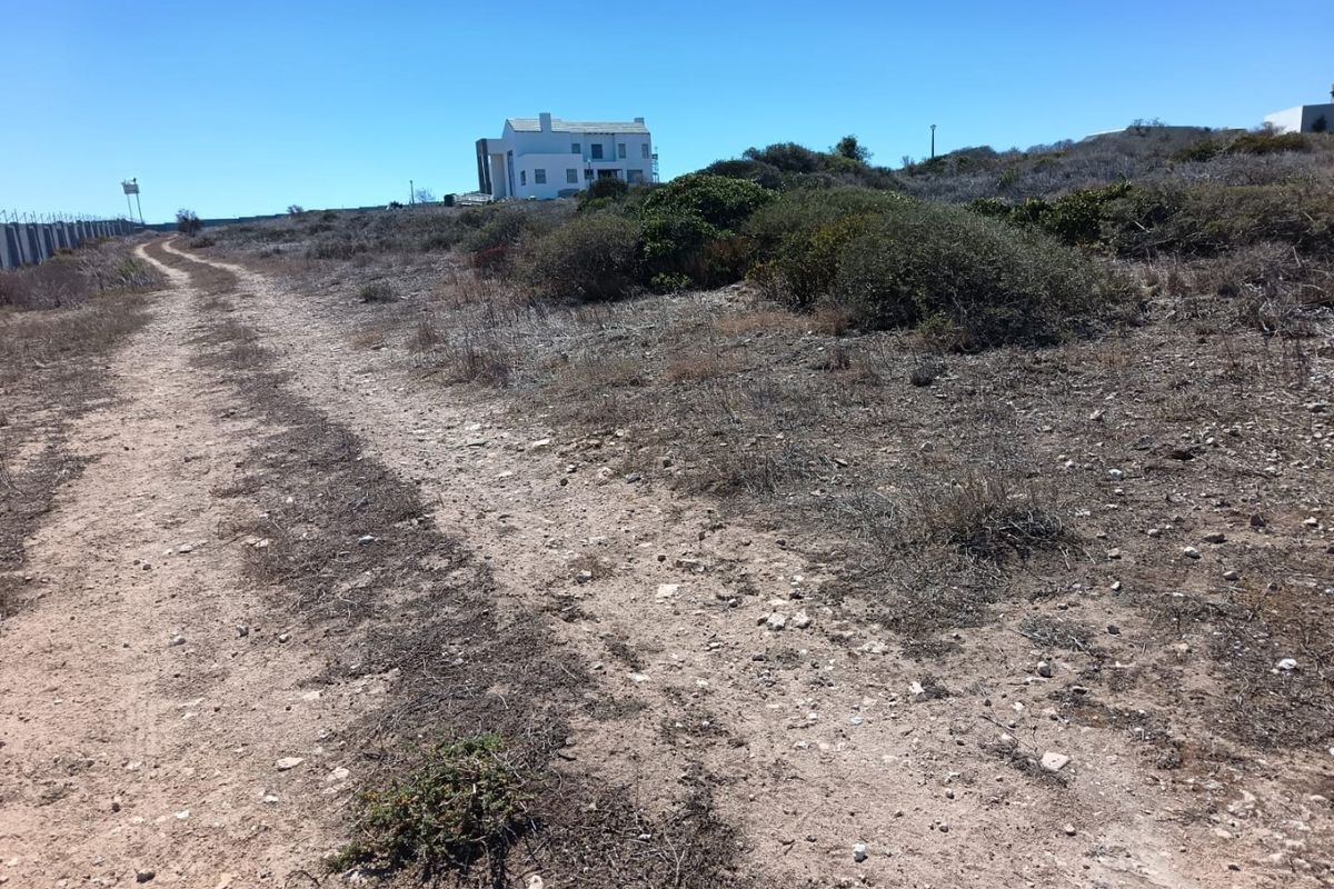 Ocean-Facing Stand - Photo 5