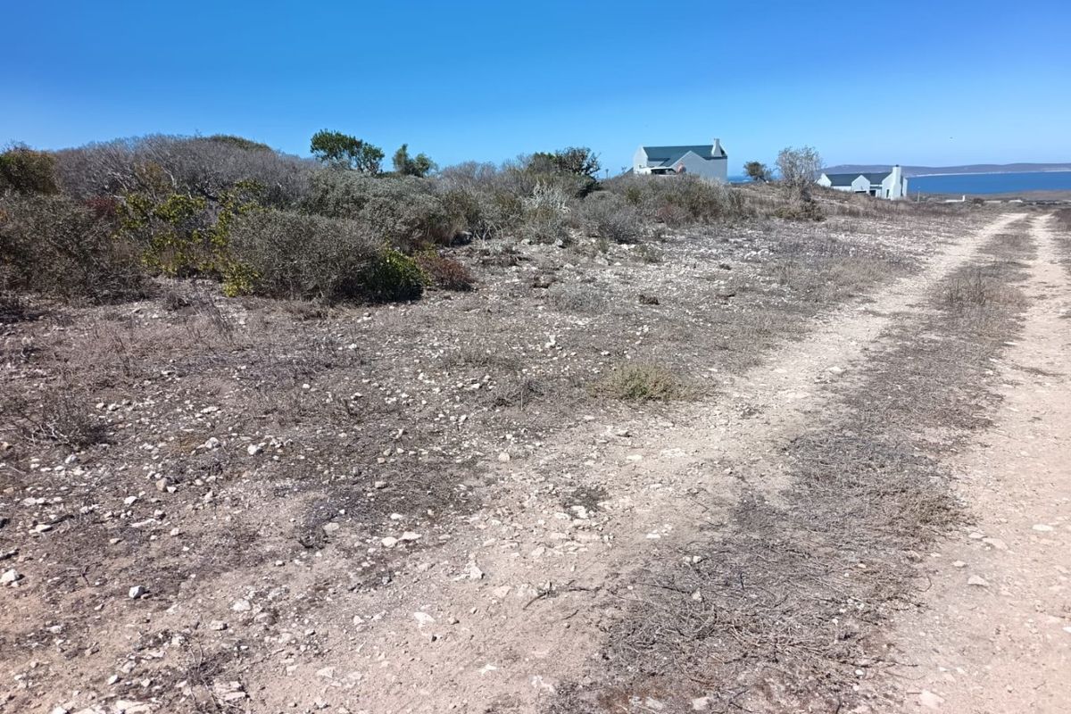 Ocean-Facing Stand - Photo 2