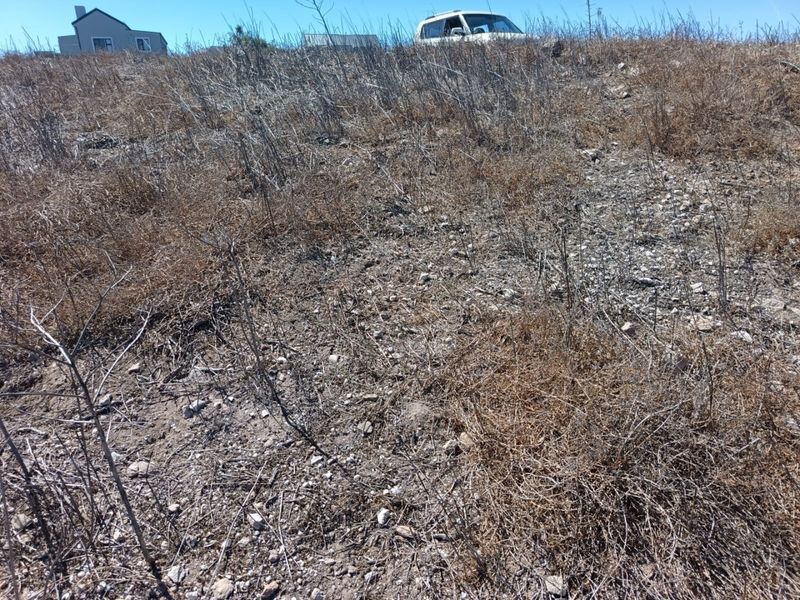 Ocean View Stand - Photo 10