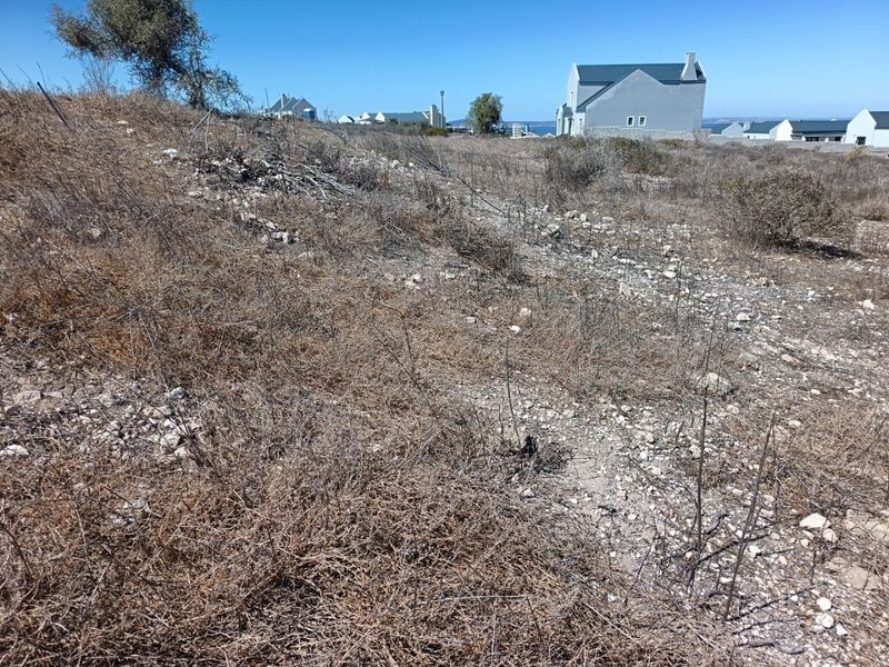 Ocean View Stand - Photo 9