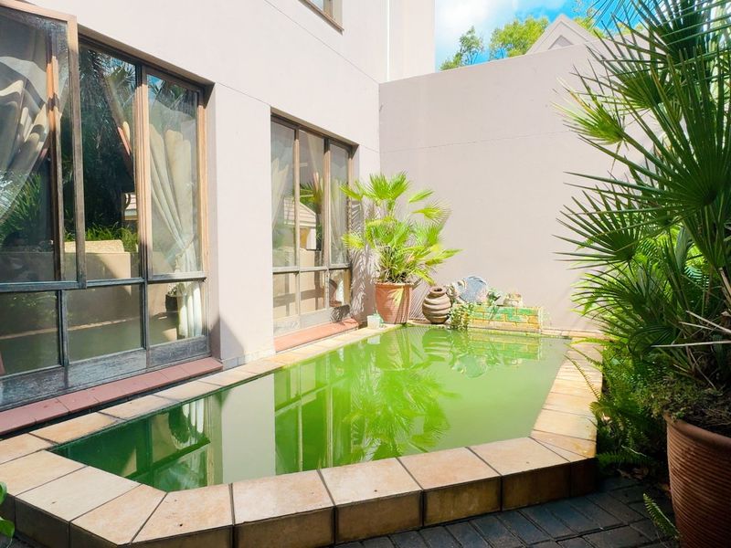 A small courtyard pool area featuring tiled coping and large glass windows, currently requiring significant maintenance and water treatment.