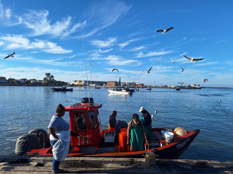 A view of a working harbour with fishing boats and seagulls, reflecting the local maritime activity near the residential land.