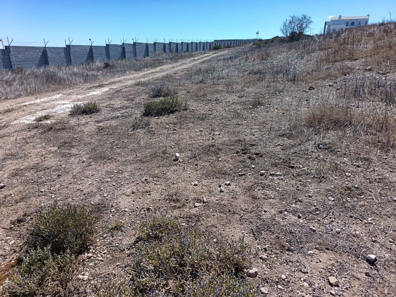 Build Your Dream with a View - Photo 8