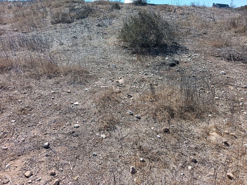 Build Your Dream with a View - Photo 7