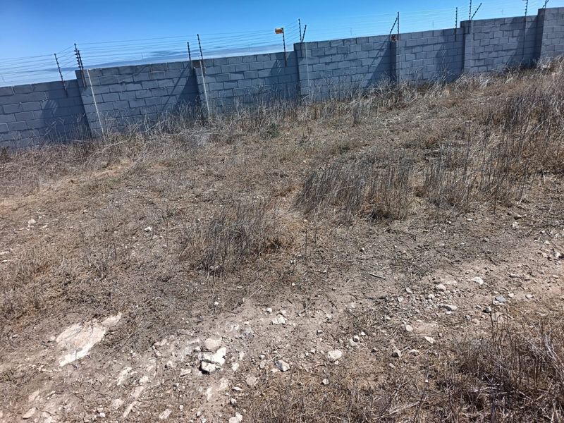 Build Your West Coast Legacy - Photo 5