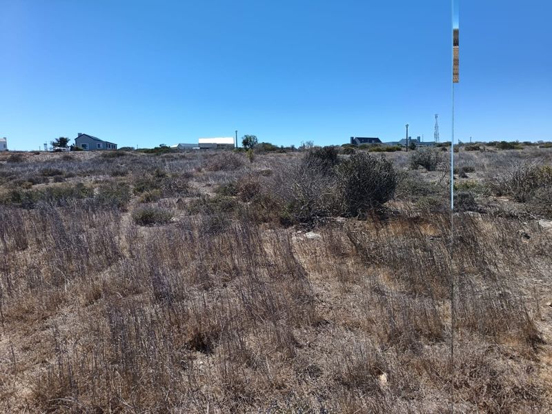 Build Your West Coast Legacy - Photo 4