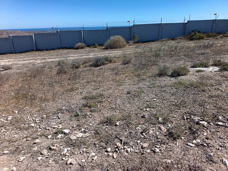 Prime Coastal Canvas - Photo 10