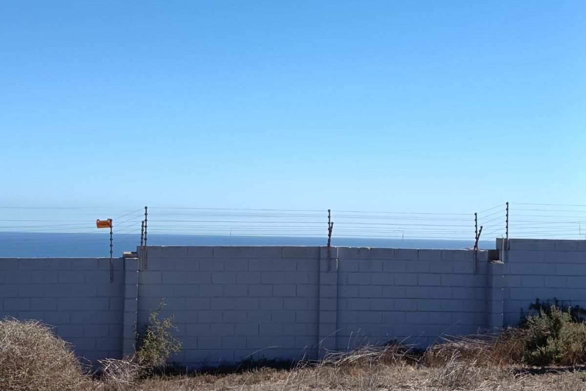 Prime Coastal Canvas - Photo 5