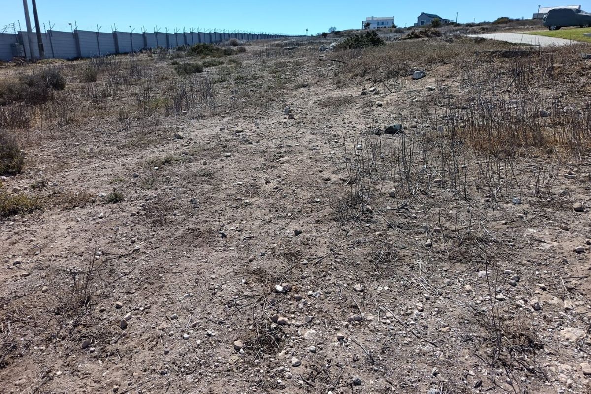 Your West Coast Vision - Photo 4