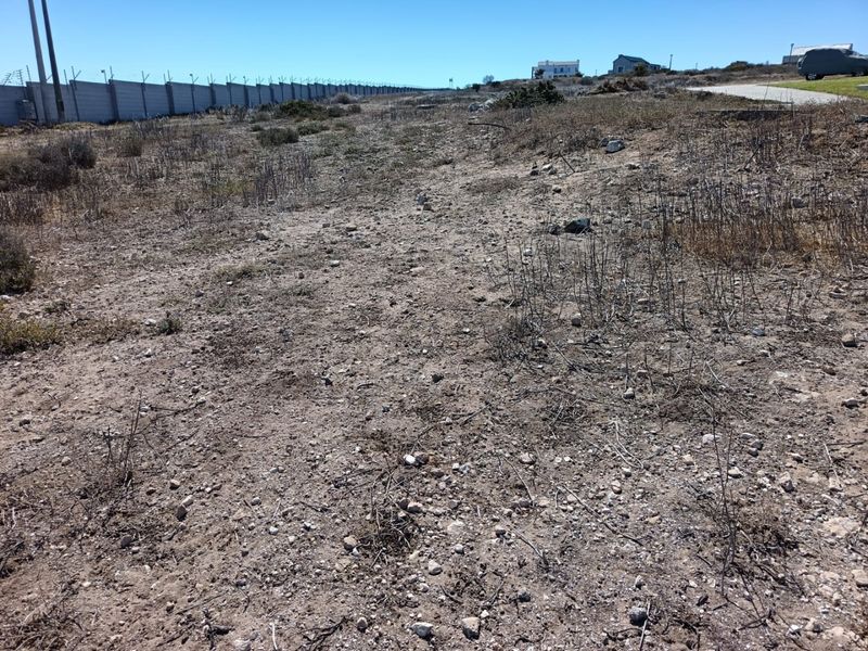 Your West Coast Vision - Photo 4