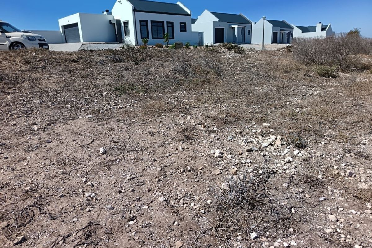 Your West Coast Vision - Photo 3