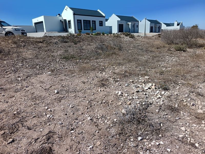 Your West Coast Vision - Photo 3