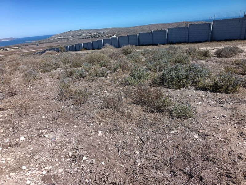 Your West Coast Vision - Photo 8