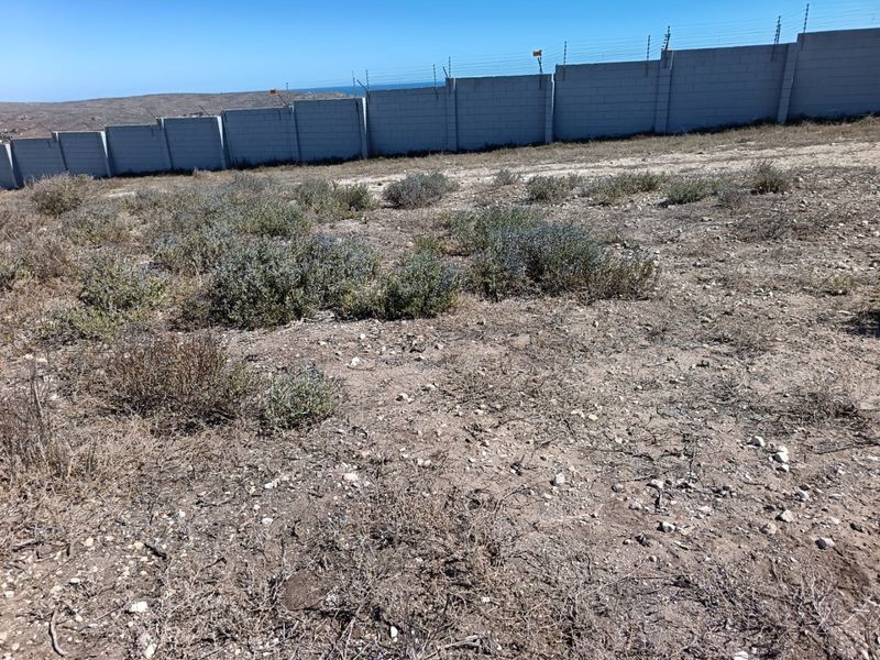 Your West Coast Vision - Photo 7