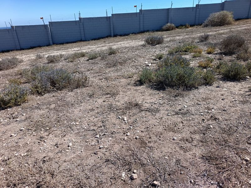 Your West Coast Vision - Photo 6