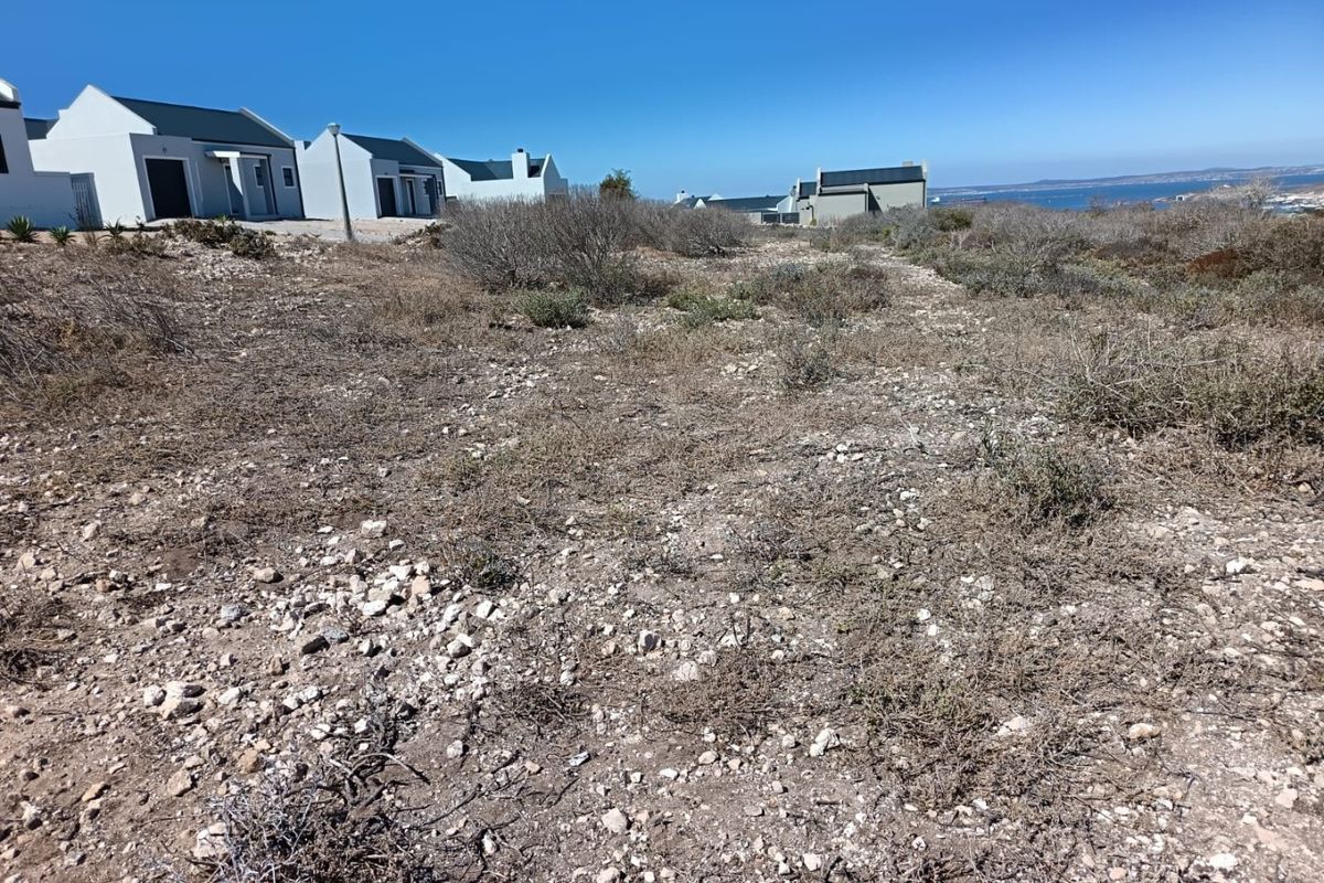 Your West Coast Vision - Photo 2