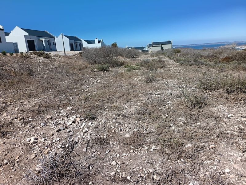 Your West Coast Vision - Photo 2