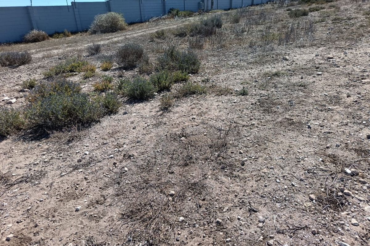 Your West Coast Vision - Photo 5