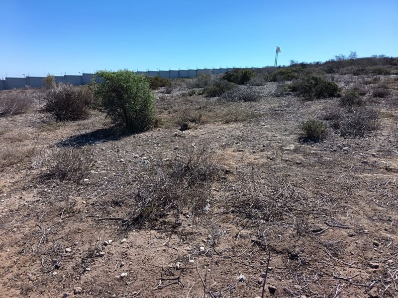 Secure Your View - Photo 10