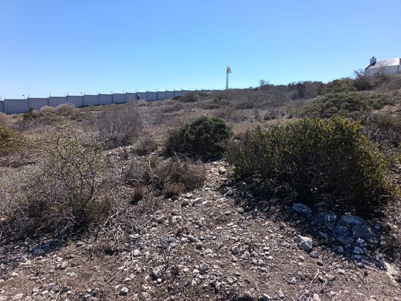 Panoramic Perfection - Photo 5