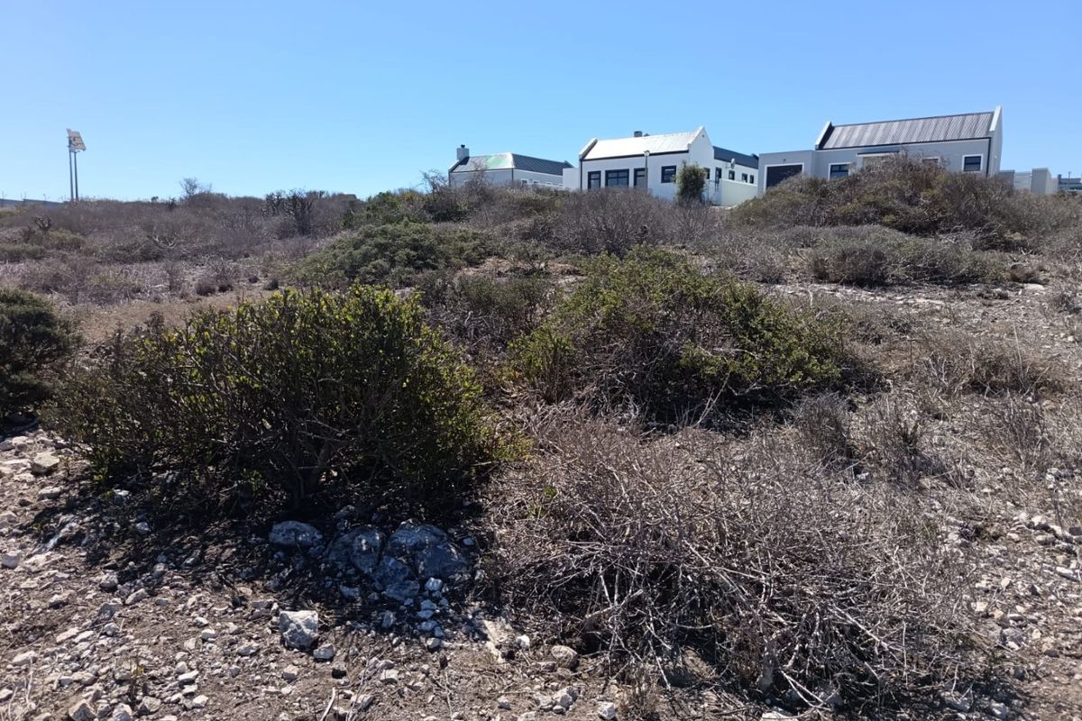 Panoramic Perfection - Photo 4