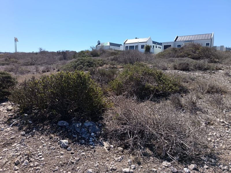 Panoramic Perfection - Photo 4