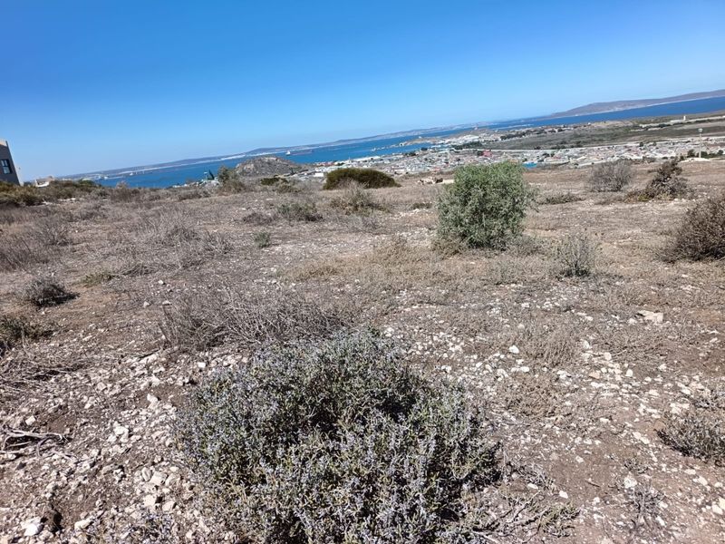 Panoramic Perfection - Photo 10