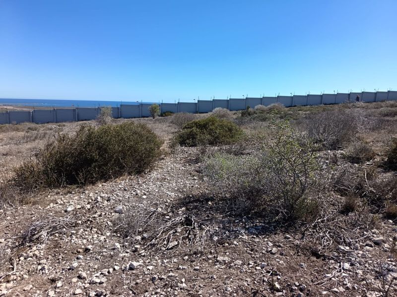 Panoramic Perfection - Photo 6