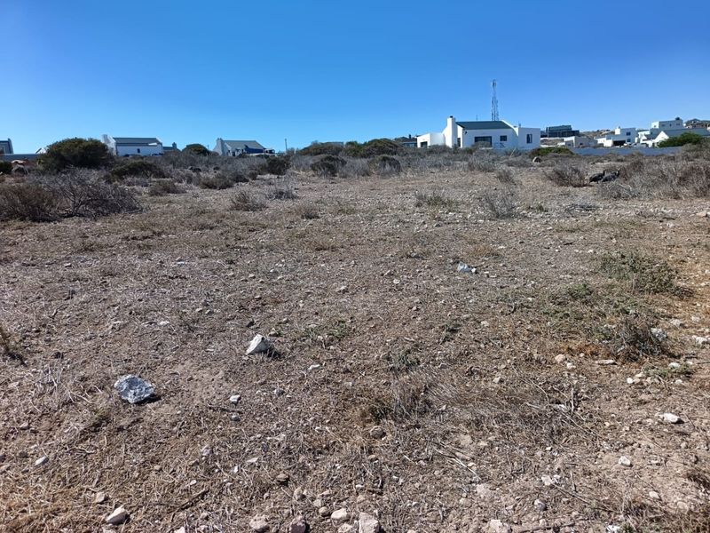 North-Facing Excellence - Photo 3